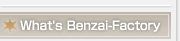 What's Benzai-Factory